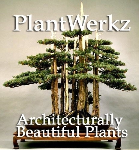 PlantWerkz