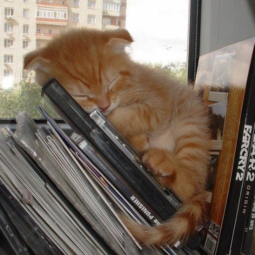 Леонид Шинелёв