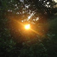 Алексей Локтев