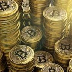 Thiago Rheinheimer Seben