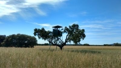 crypto🚀pantxinetium