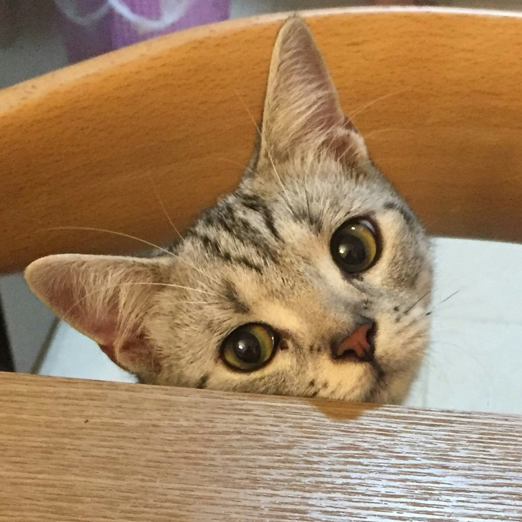 脑脑脑脑脑补大王