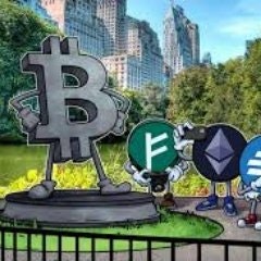 Pham Muoi(FollowBack)