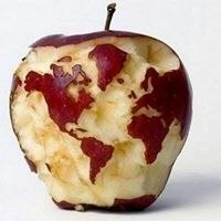 Ivan  Schelepov мода программы осиповичи