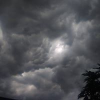 Nguyễn Hồng Mạnh