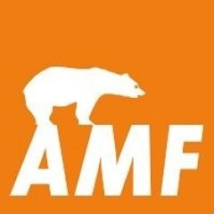 AMF Crypto