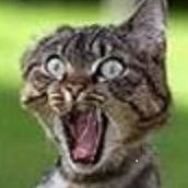 Александр Таир