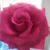 Татьяна Бабкина