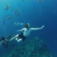 Dylan James Stephenson