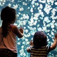 Christine Marie Wong