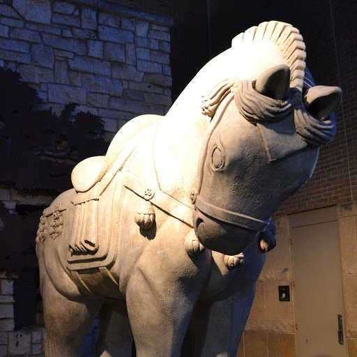 Vijayakumar Ramdoss (Vijay Ram)