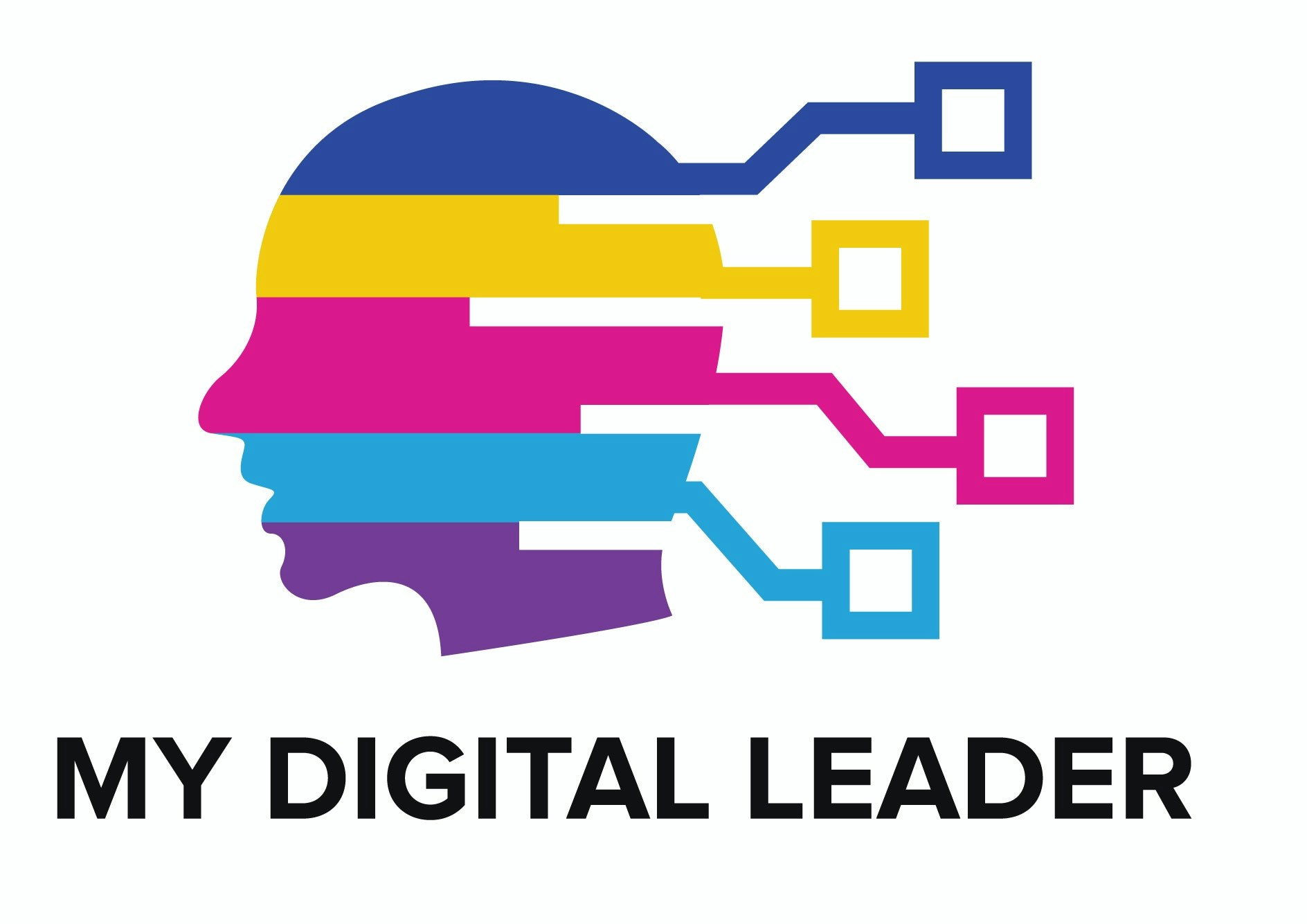 MyDigital Leader