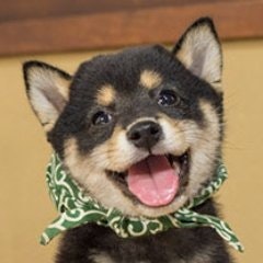 しばみつえ@サービス開発