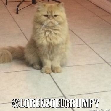 Lorenzo El Grumpy