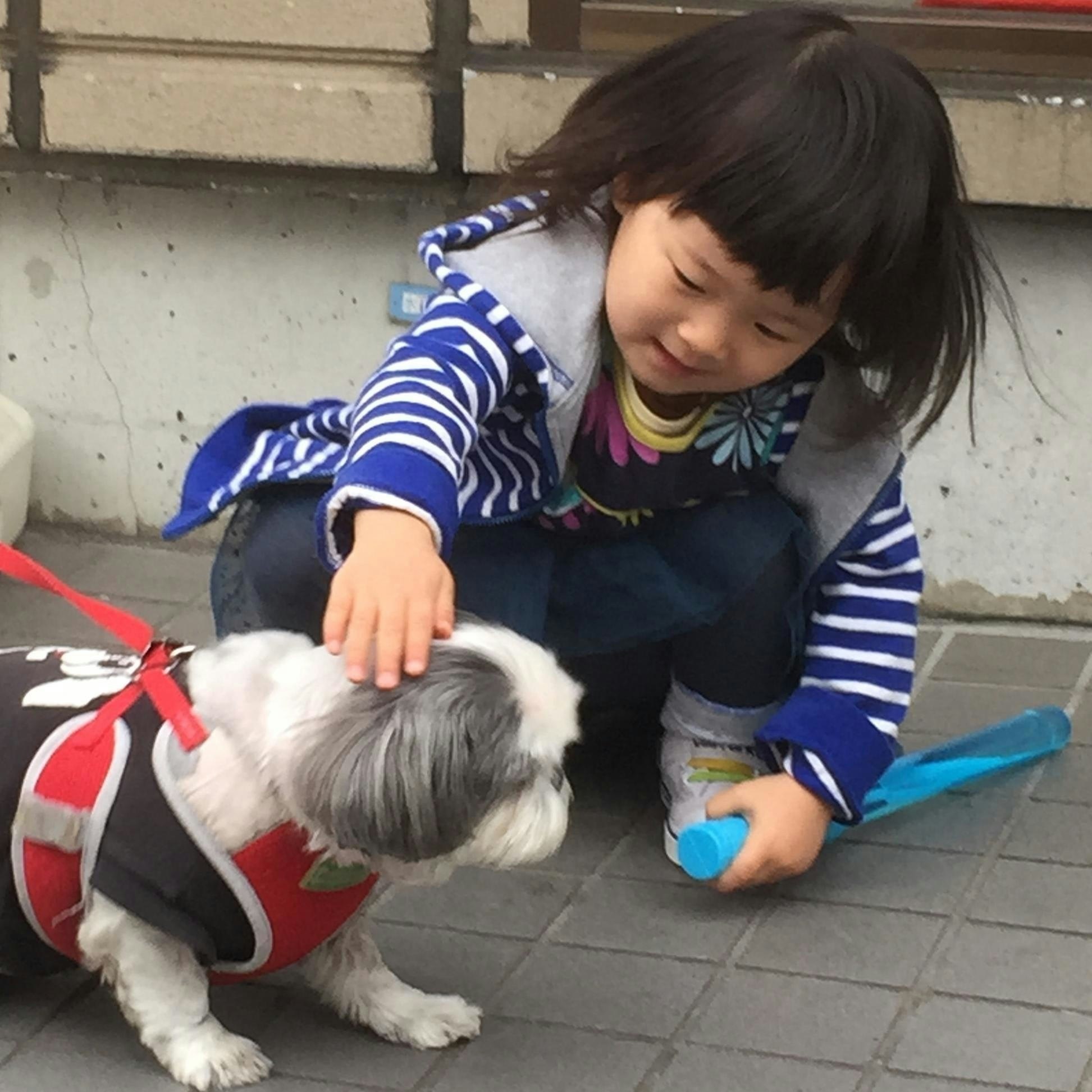 やまーち(´･◡･｀)