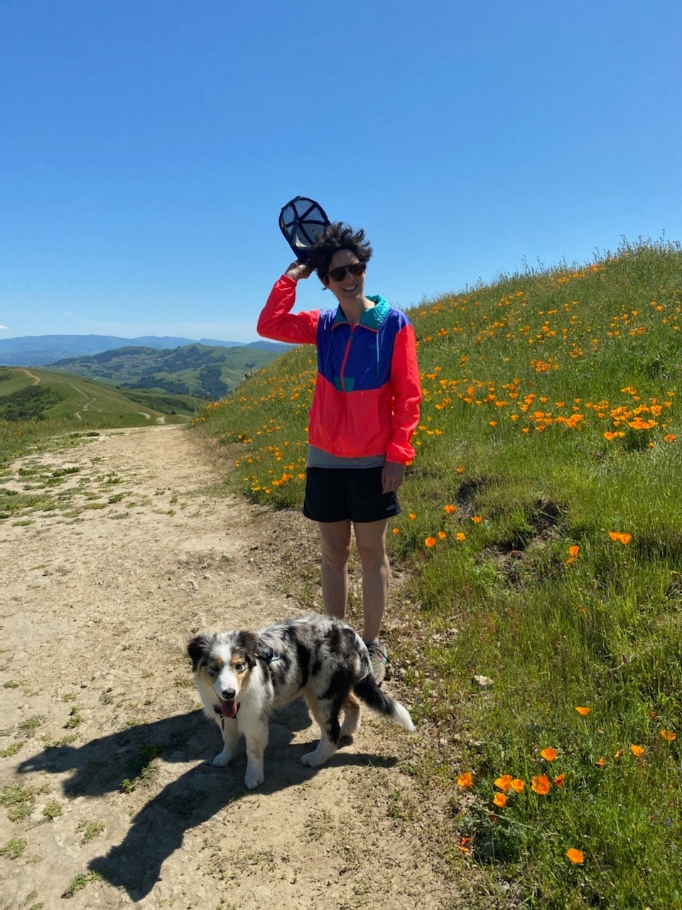 Lindsay M. Pettingill