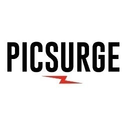 Picsurge