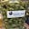 Global Weed Dispensary
