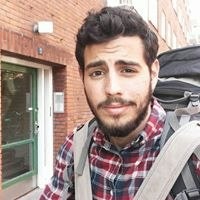 Asaf Hauschner Regev