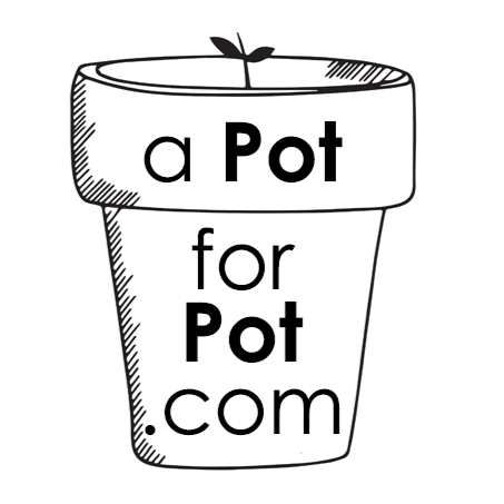 a Pot for Pot