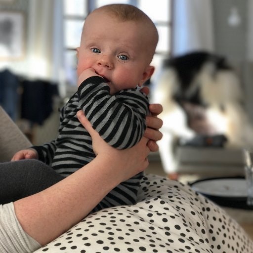 Ole Ventzel Davidsen