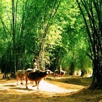 Nguyễn Mạnh Toàn