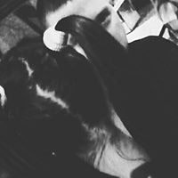 Давид Мијатовић