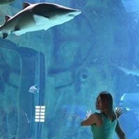 Ксения Серяпина