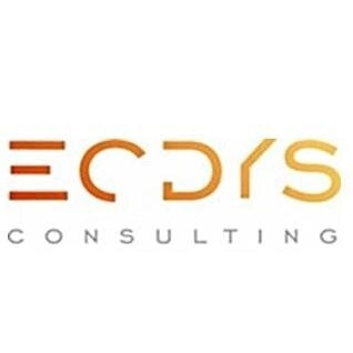 ECDYS Consulting