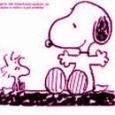 Lori Stern Zimmerman