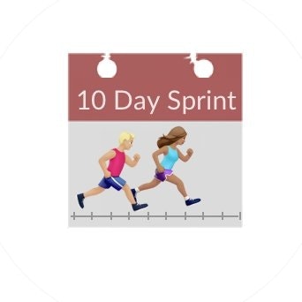 10DaySprint