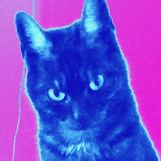 The Cat With The Dragon Tattoo