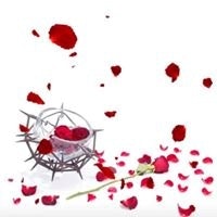 Matthias Hinsenhofen