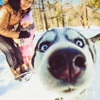 Билгүүн Жаргалсайхан