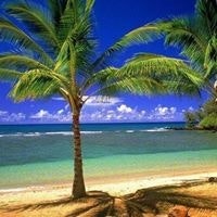 Dody Rachmat Wicaksono