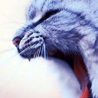 Алексей Дощатов