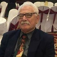 بهاء الدين محمد الصالحى