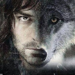 Lorne MacKenzie (Wolf)