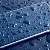 Роман Сорокин