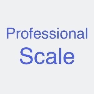 Professional Scale