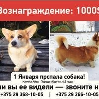 Иван Степанов