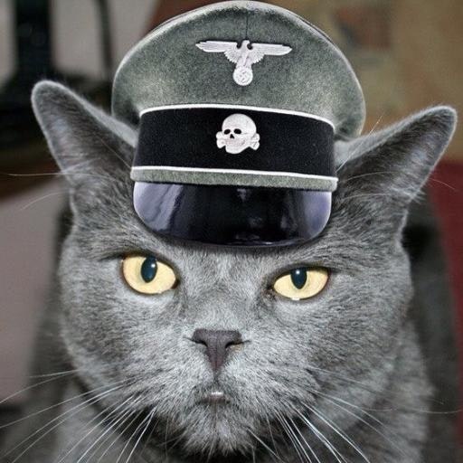 Тема Бандит