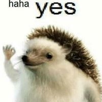 Paweł Krzysztof Szczepański