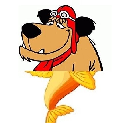 Altseason morphing delayed 😢