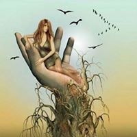 Md Mohosin Ali Mohosin