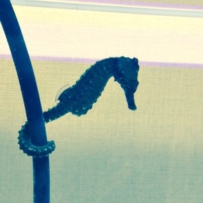 のぶめい@dApps作る人