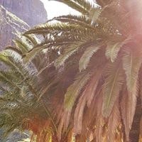 Κατερίνα Γ. Γρηγορίου