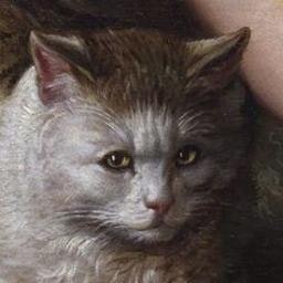 буквально женощло