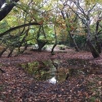 Dionysia Athanasopoulou