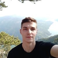 Немања Недић